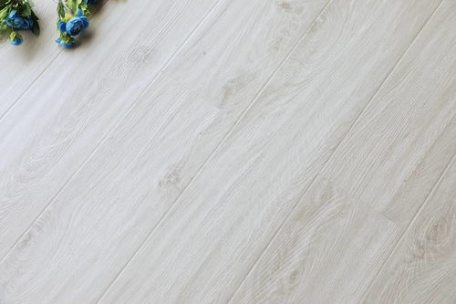 盼盼動態 江西臥室門 湖北陽臺門 盼盼木業集團 盼盼木業集團2021北京定制家居門業展 盼盼地板篇 盼盼木業集團