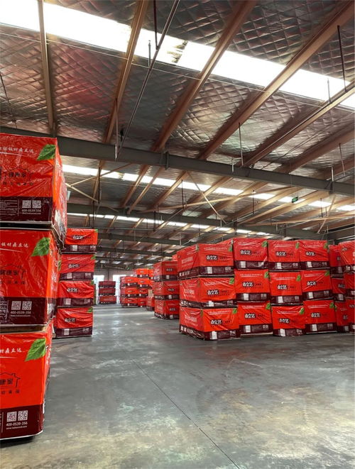 鼎立達榮獲金匠榜健康板材十大品牌 實力加冕，引領木業(yè)高質(zhì)量發(fā)展